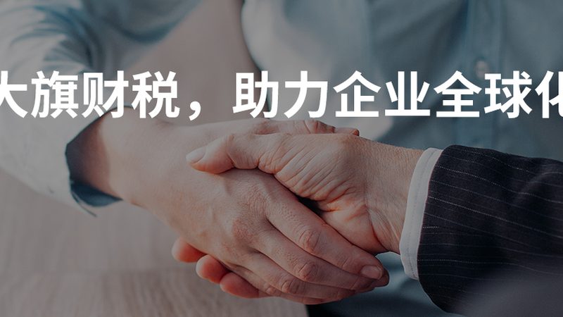 财税系统参数适用范围解析：关键要素与合规要点